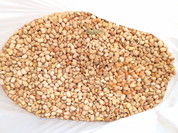 Honey Beans (Oloyin) - 4kg