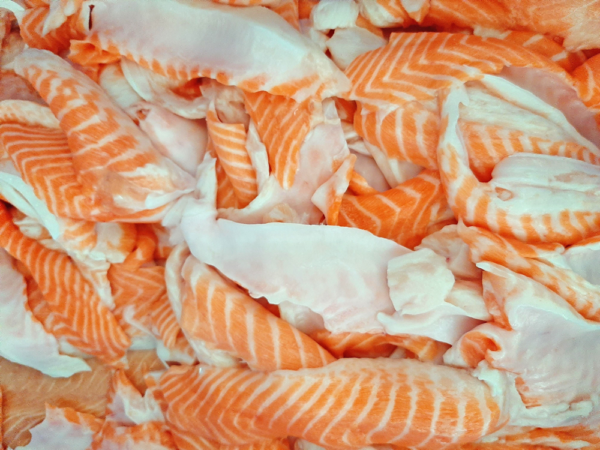 Fresh Salmon Trims - 1kg