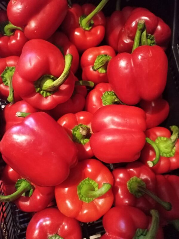 Bell Pepper - 3Kg