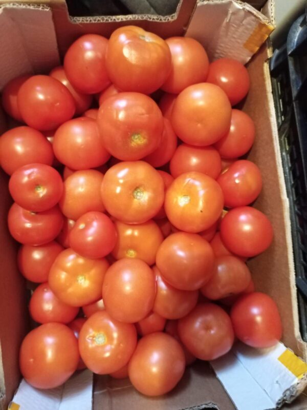 Tomatoes - 6Kg