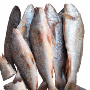 Croaker Fish – 3kg