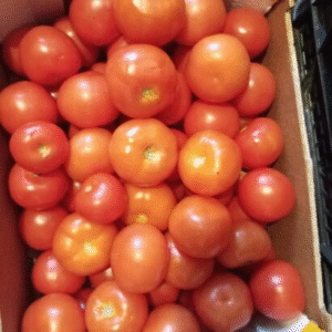 Tomatoes – 6Kg