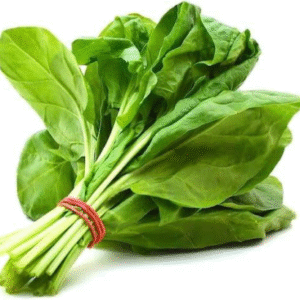 Spinach Vegetable – Box