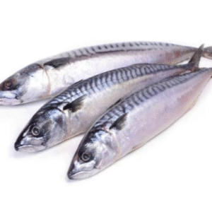 Mackerel (Titus) Fish – 5kg